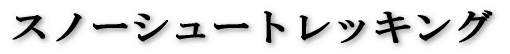 �����t�H�g�c�A�[